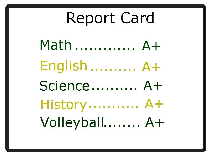 Volleyball Academics