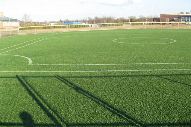 Turf campaign update