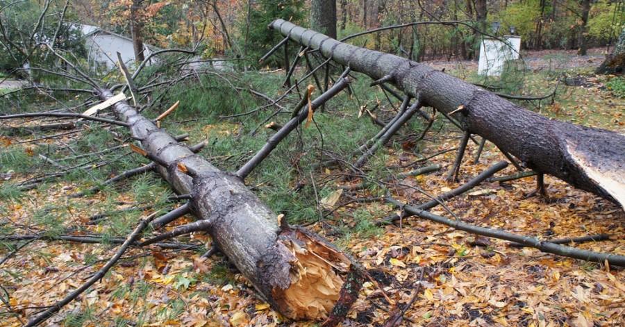 Area crippled by Superstorm Sandy