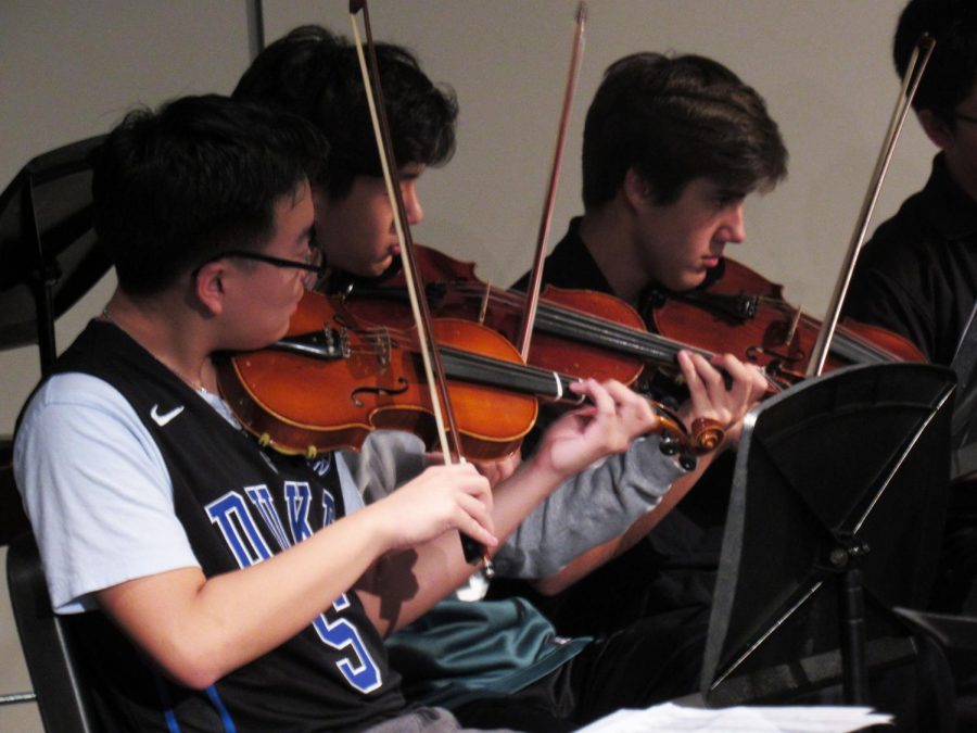 Violins in the Symphonic Orchestra perform during the Fur, Fins, & Feathers Halloween Concert (Photo by Anja OBrien).