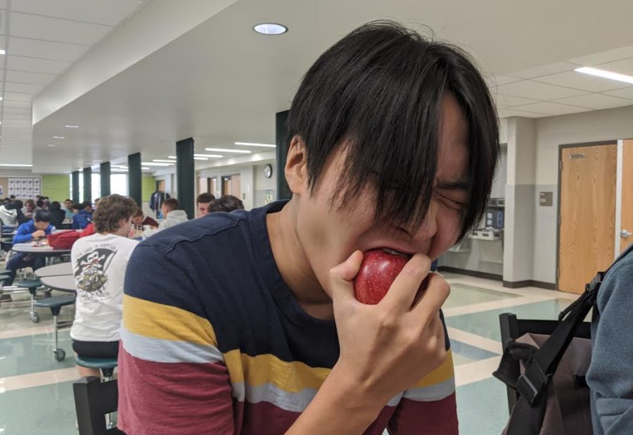 Junior Andrew Kim is behind the original Langley food review account, on Instagram as @thelhsfoodreview (Photo by Quinn Brown).